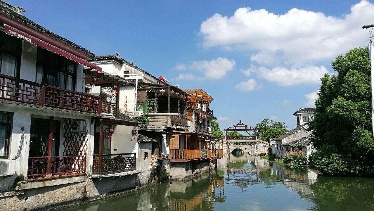 天鹅森林逃脱